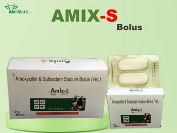 AMIX-S 10