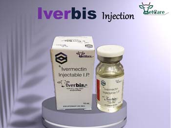 IVERBIS 10 ML