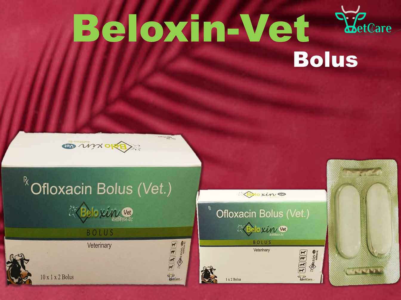 BELOXIN VET