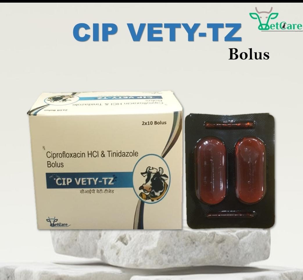 CIP Vety-TZ