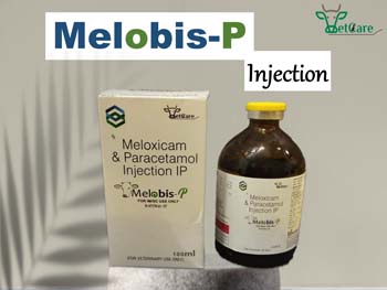 MELOBIS -P 30 ML