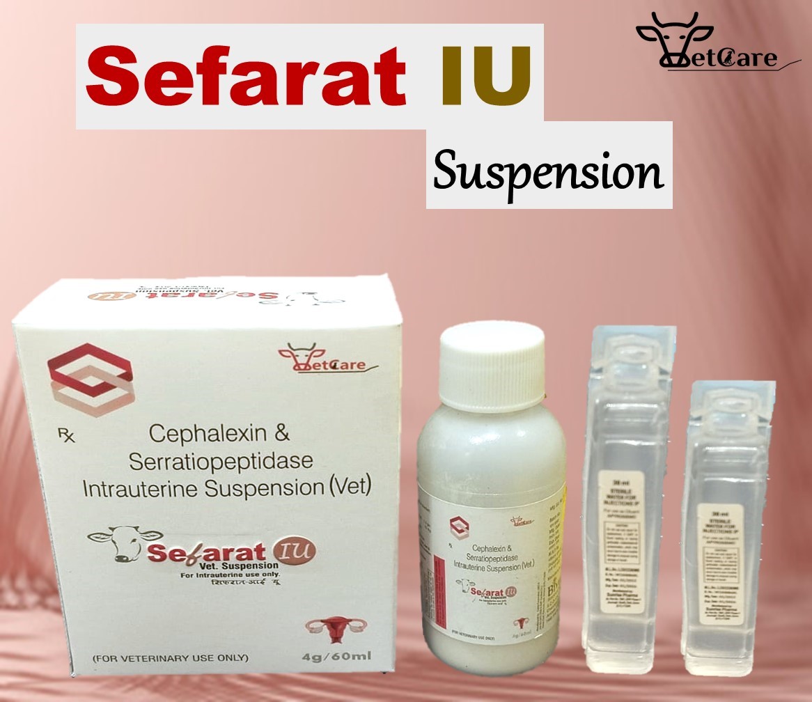 SEFARAT I.U