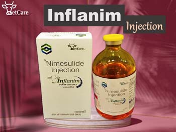 INFLANIM 100 ML