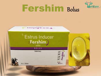 FERSHIM BOLUS