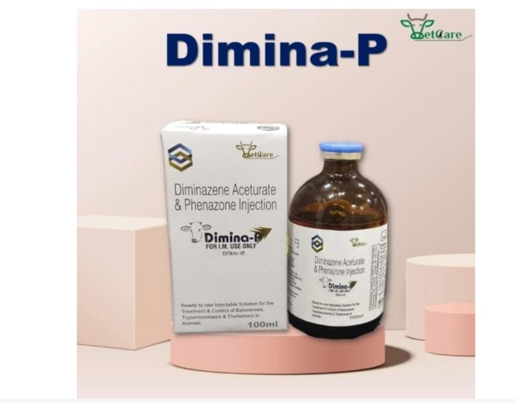 Dimina-P