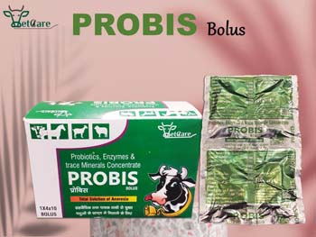 PROBIS BOLUS