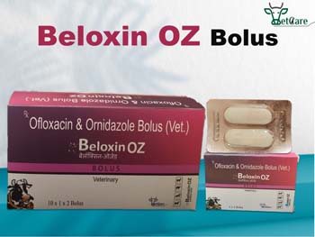 BELOXIN -OZ VET