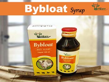 BYBLOAT SYRUP