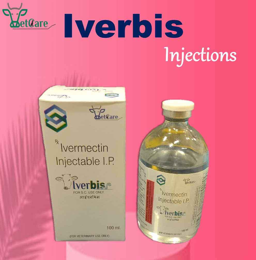 IVERBIS 100 ML