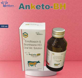 ANKETO-BH