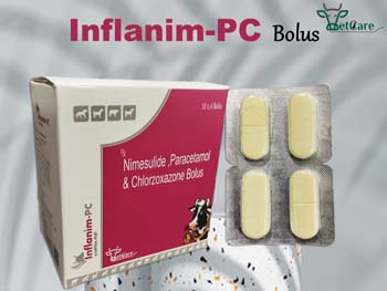 INFLANIM-PC