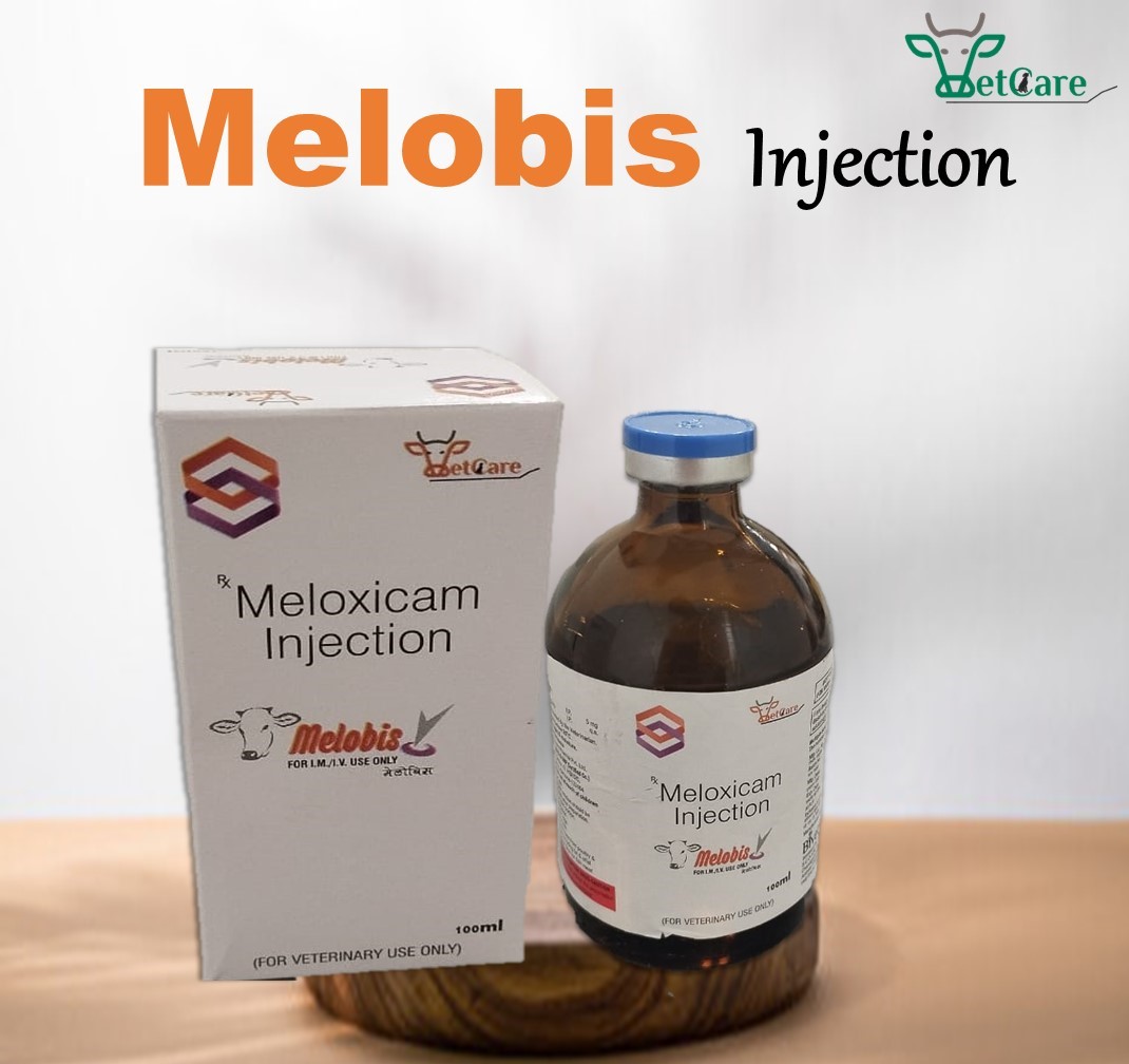 MELOBIS 100 ML