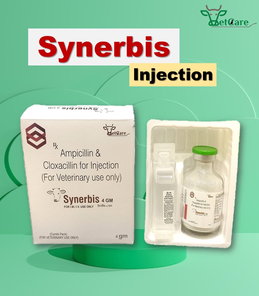 Synerbis-4MG