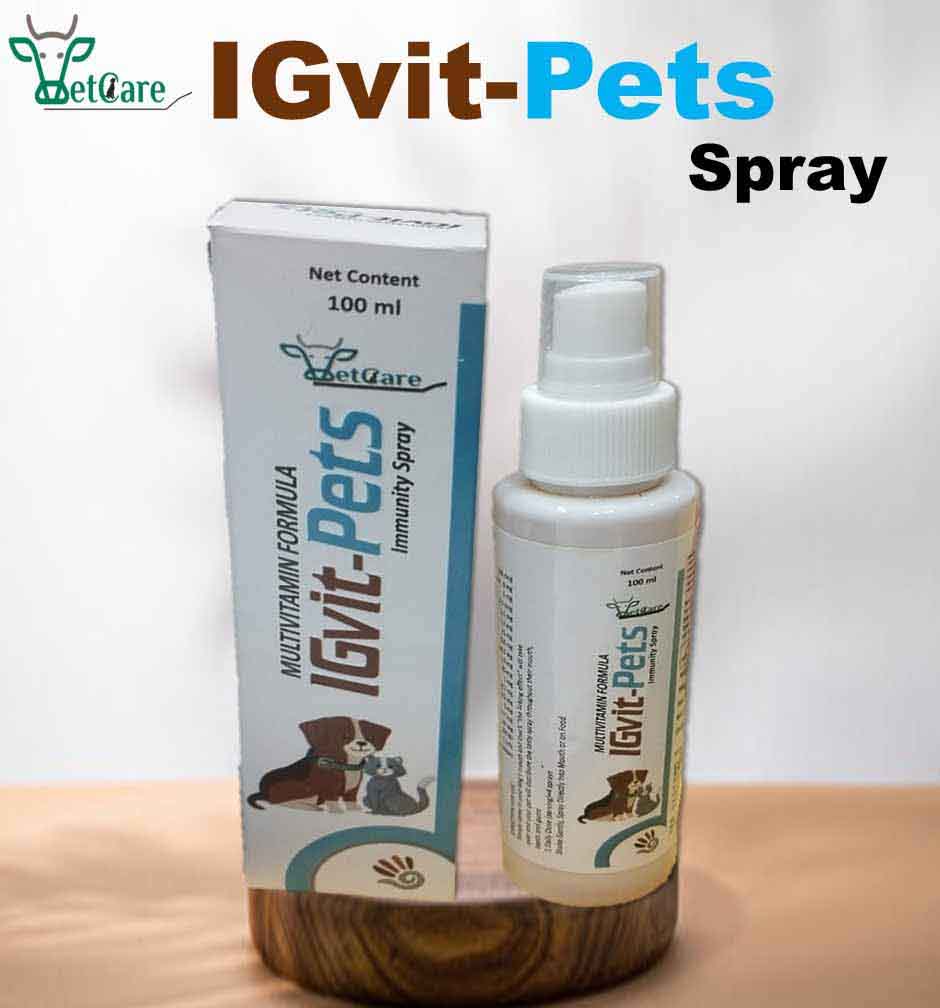 IGVIT-PETS