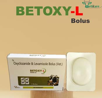 BETOXY-L 24