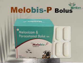 MELOBIS-P BOLUS