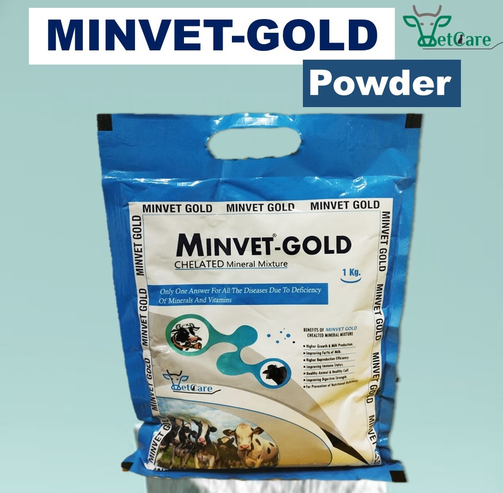 MINVET  GOLD