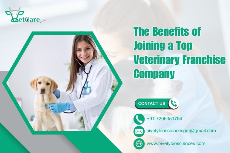 citriclabs | The Benefits of Joining a Top Veterinary Franchise Company