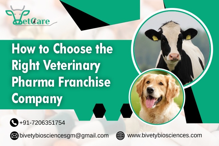 citriclabs | How to Choose the Right Veterinary Pharma Franchise Company