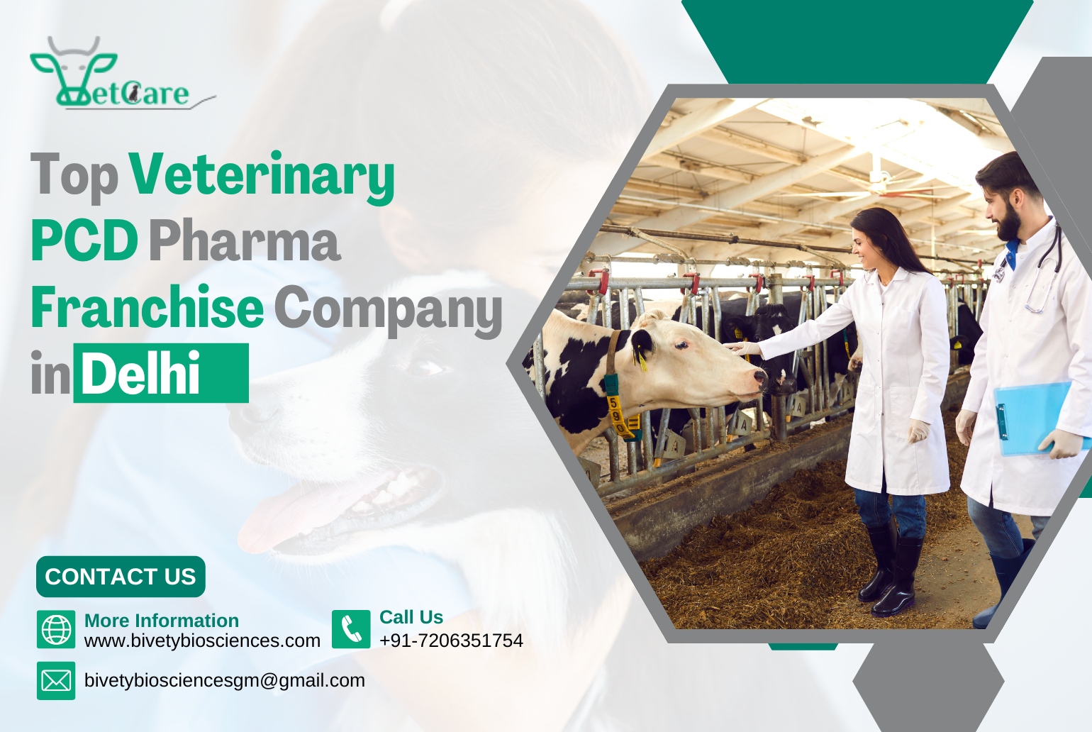 citriclabs | Top Veterinary PCD Pharma Franchise Company in Delhi