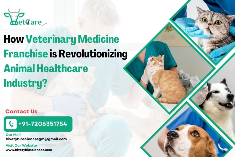 citriclabs | How Veterinary Medicine Franchise is Revolutionizing Animal Healthcare Industry?