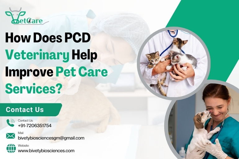 citriclabs | How Does PCD Veterinary Help Improve Pet Care Services?