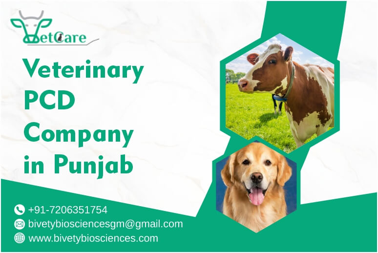 janusbiotech|Veterinary PCD Company in Punjab 